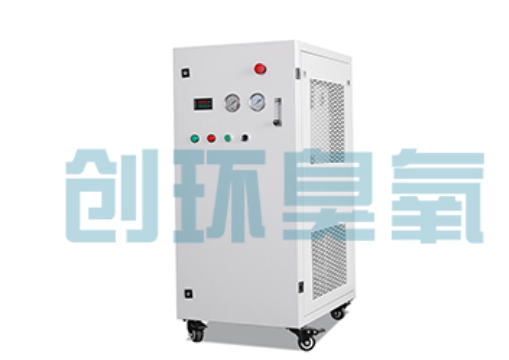 四川石斑鱼养殖水质调控完整指南：臭氧发生器配置与操作步骤