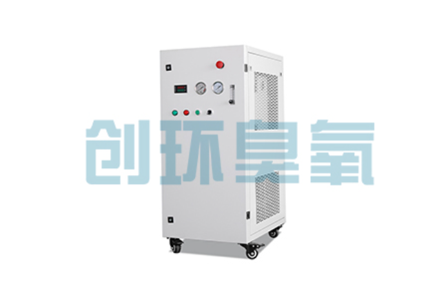 四川比传统换水更高效？臭氧发生器在石斑鱼养殖中的水质净化原理解析